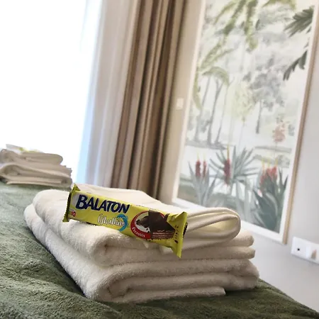 Erkel Estate At Kalvin Ter, 4 People, 2 Bathroom, Free Parking Lejlighed Budapest